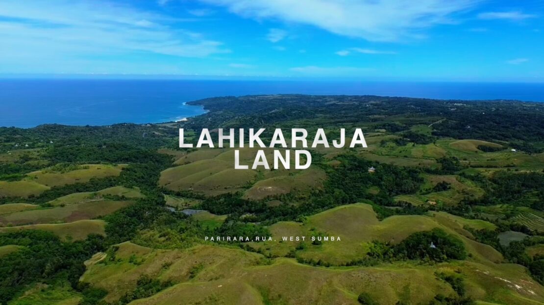 video image